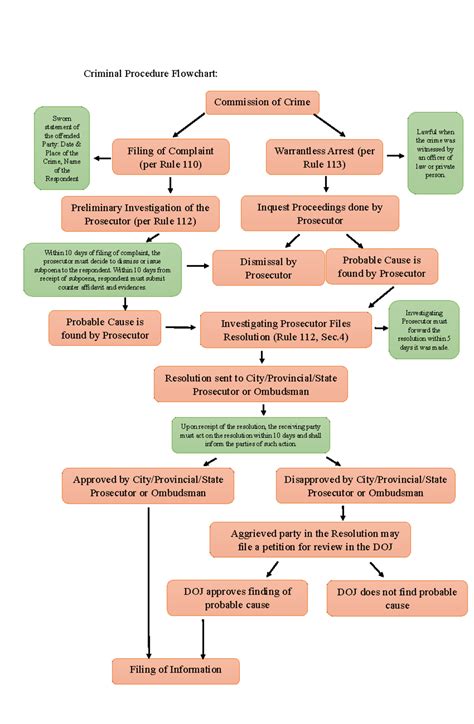 criminal procedure case flowchart sample