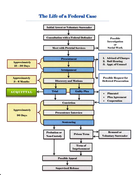 criminal process in a felony case