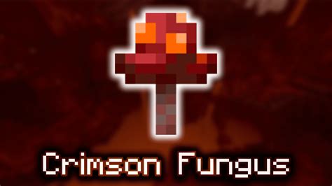 Crimson Fungus Environment
