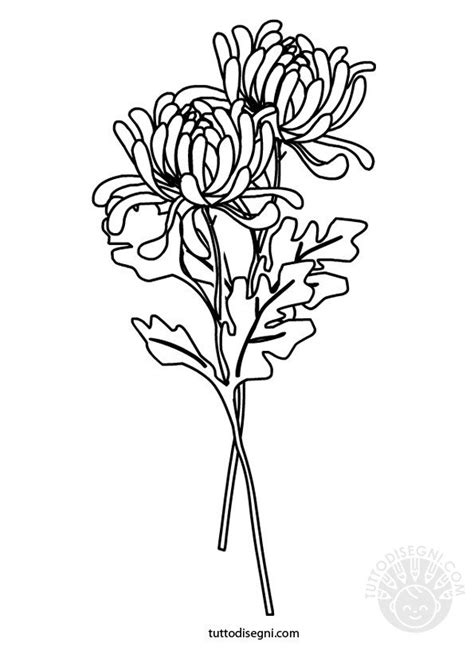 Crisantemi Da Colorare