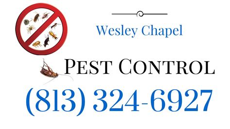 critical pest control wesley chapel