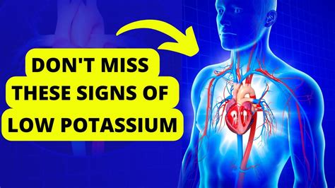 7 Symptoms of Low Potassium (Listen to Your Body) Health and