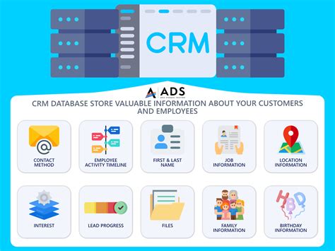 crm and database