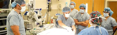 crna programs