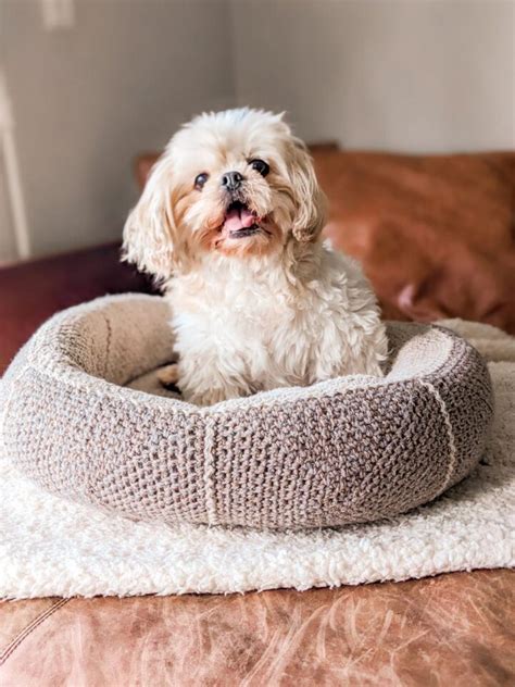 Crochet Dog Bed