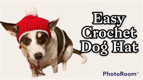 Crochet Dog Hat Tutorial