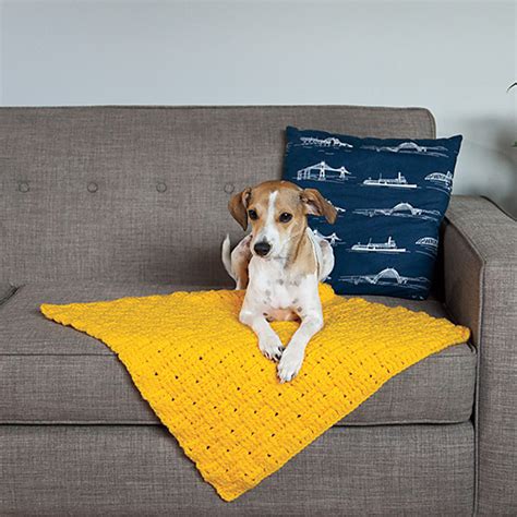 Crochet Patterns For Dog Blankets