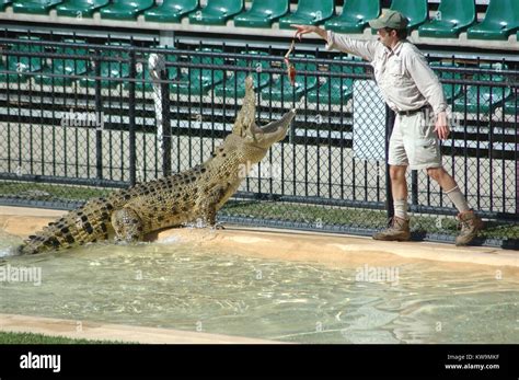 crocodile keeper