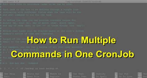 Cron Job Multiple Commands