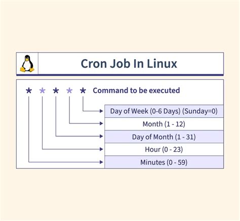 Cron Job Parameters