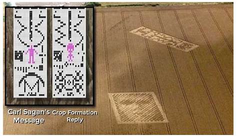 Crop Circle Response To Arecibo Message In 1974, A Broadcast (known As The “” ) Put