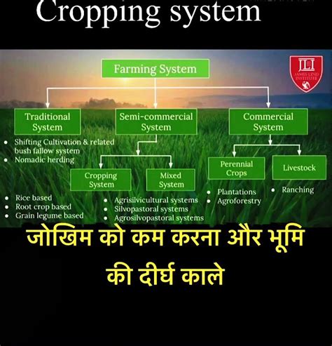 Viral Cropping System In Hindi Trending
