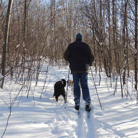 Cross Country Skiing Dog Leash