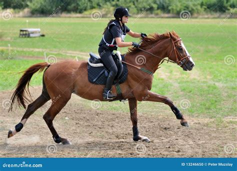 cross cuntry vacation