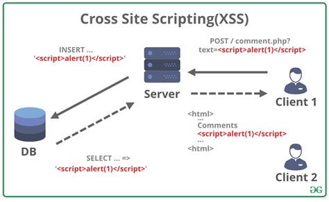 cross site scripting xss