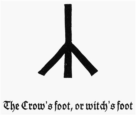 crow's foot meaning