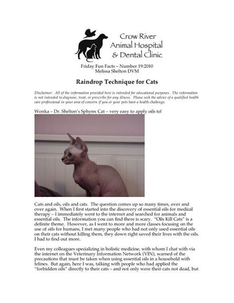 crow river animal hospital