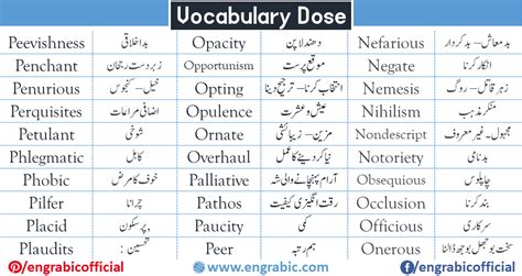 cruel world meaning in urdu