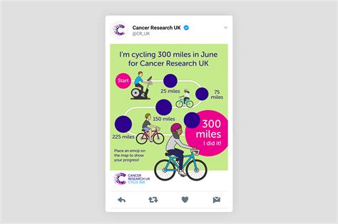 cruk cycle 300