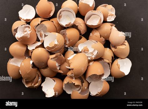 Crushed Egg Shells For Humans