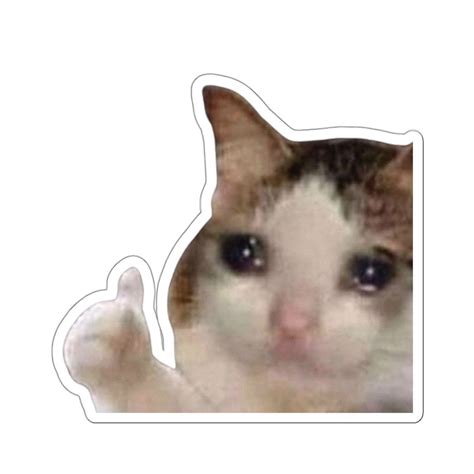 cry cat thumbs up
