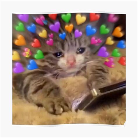 crying cat meme hearts