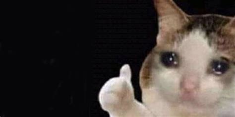 crying cat with thumbs up