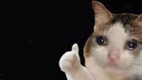 crying thumbs up cat