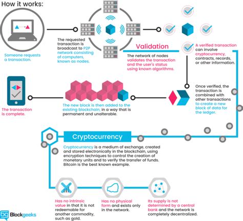 Free Cryptocurrency Basic Explanation For Male