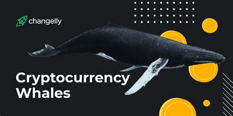 Cryptocurrency Whales