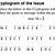 cryptoquip puzzles printable