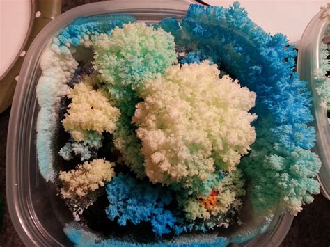 Crystal Garden Growing