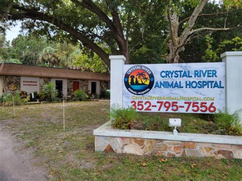 crystal river animal hospital - crystal river