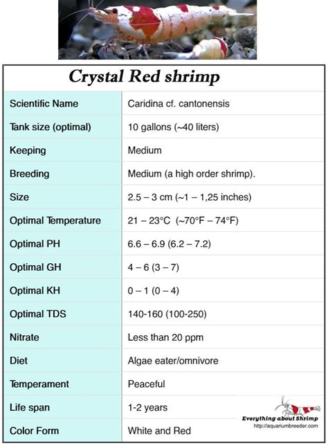 crystal shrimp water parameters