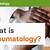 csro rheumatology definition