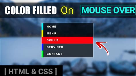Css Zoom Mouse Hover