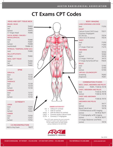 ct bone length study cpt code