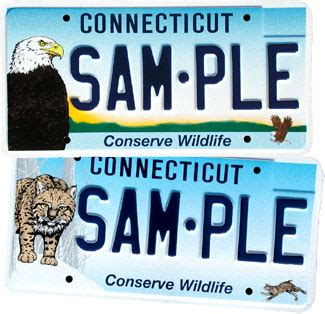 Ct Dmv Vanity Plates