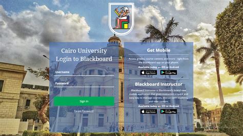 cu blackboard login cairo university