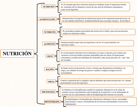 Clasificacion De Los Nutrientes Segun Su Funcion En El Organismodocx Images