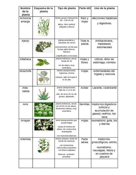 Cuadro Sinóptico De Plantas Medicinales