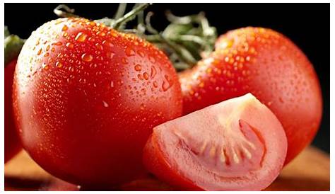 Nombre científico del tomate - Blog didáctico