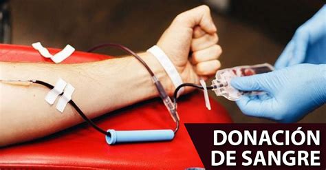 cual es el procedimiento para donar sangre