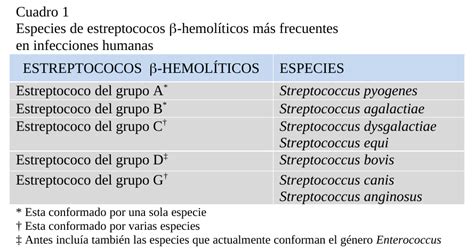 cuales son los estreptococos del grupo a