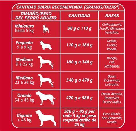 ¿Cuánto debe comer un perro de 6.5 libras por día? Diario Día