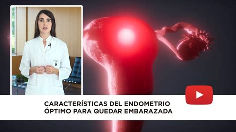 cuanto debe medir el endometrio