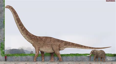 cuanto mide el argentinosaurus