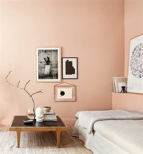Cuarto Color Salmon