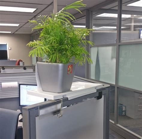 Pin by Plant One on US on Plant One on US for Office Cubicles Indoor