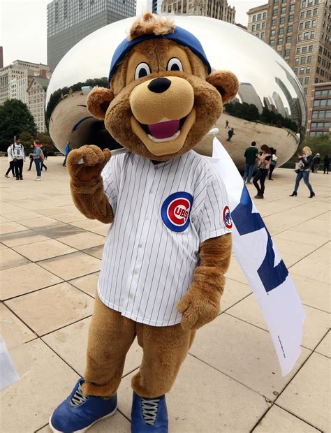 cubs mascot bear name